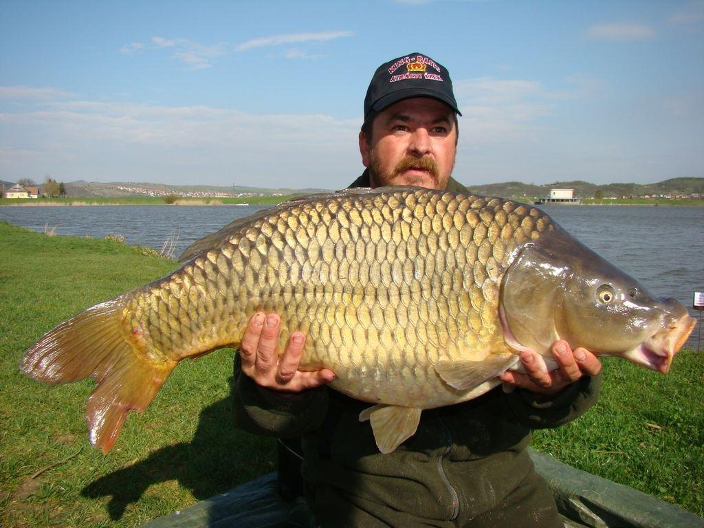 Cipibaits - 00104513.jpg